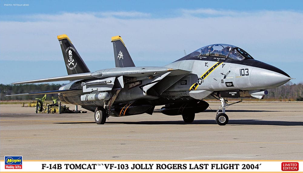 010 - Hasegawa - 02434 - Grumman F-14B Tomcat - primary image