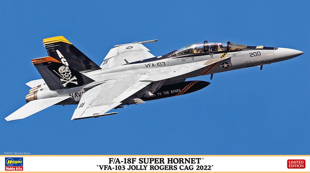 010 - Hasegawa - 02458 - Boeing F/A-18F Super Hornet - primary image