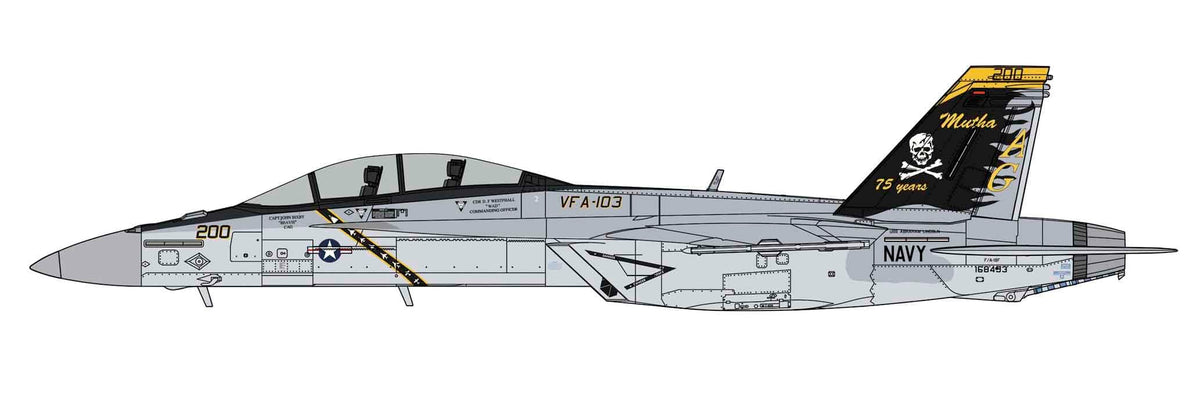 300 - Hasegawa - 07552 - Boeing F/A-18F Super Hornet - paint schemes