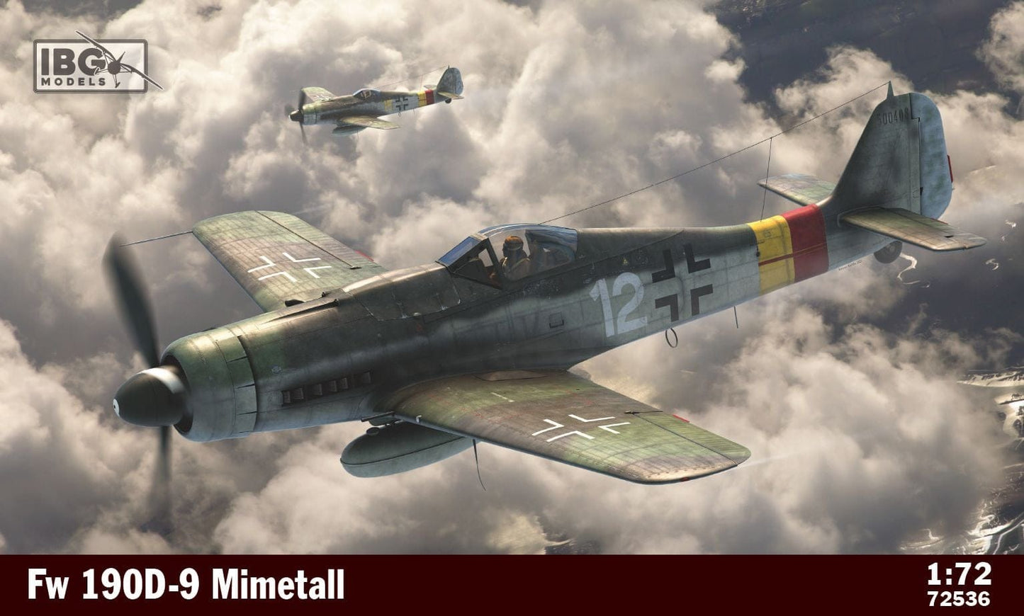 010 - IBG - 72536 - Focke-Wulf Fw 190 D-9 Mimetall - primary image