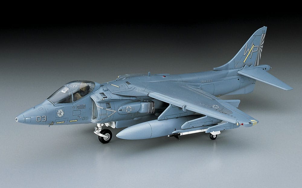 700 - Hasegawa - D19 - McDonnell Douglas AV-8B Harrier II - painted model