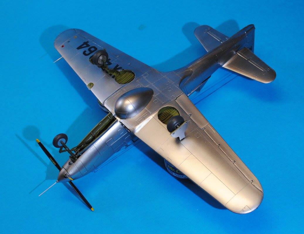 710 - Dora Wings - 48003 - Bell TP-63E Kingcobra - painted model