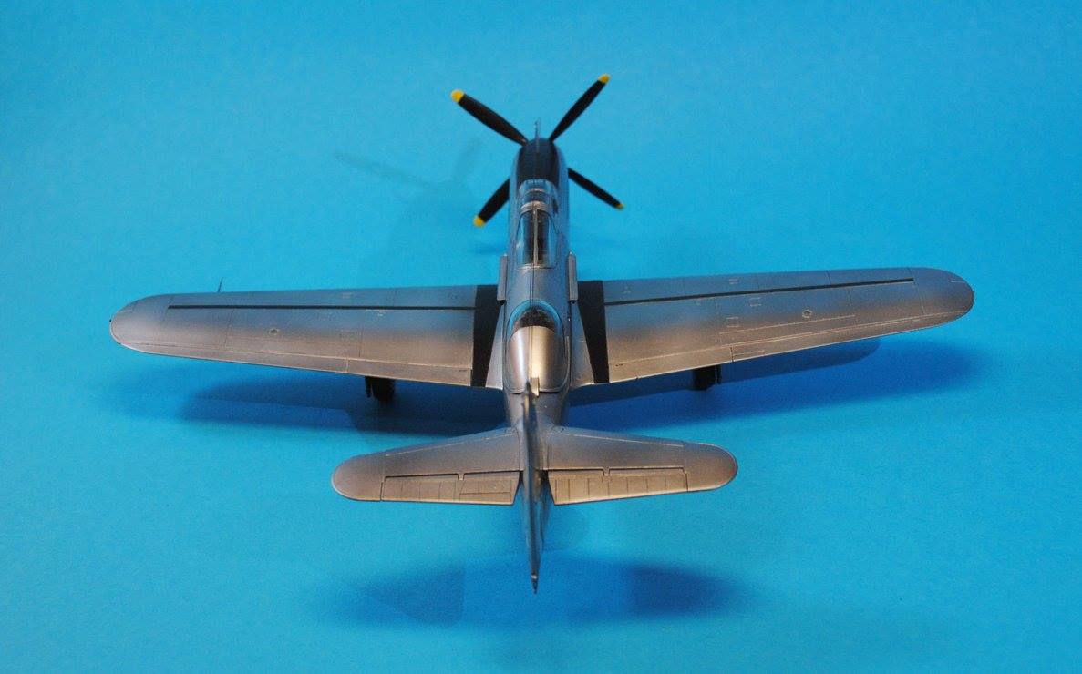 704 - Dora Wings - 48003 - Bell TP-63E Kingcobra - painted model
