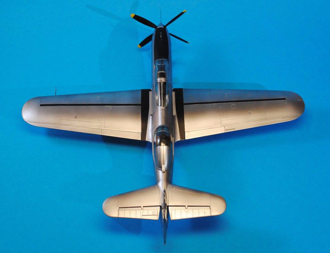 705 - Dora Wings - 48003 - Bell TP-63E Kingcobra - painted model