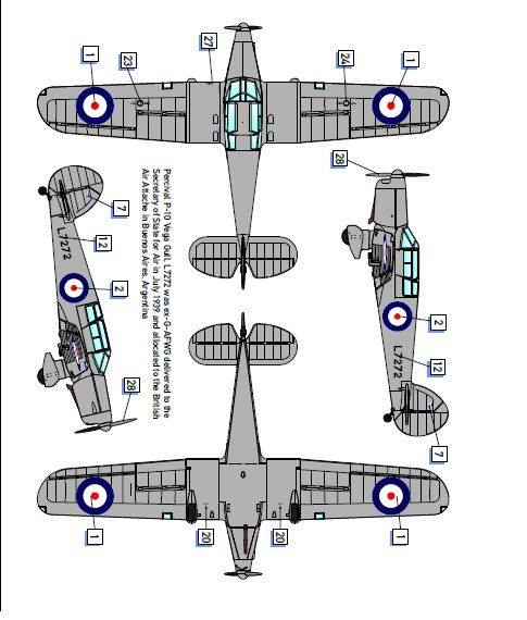 300 - Dora Wings - 48005 - Percival P.10 Vega Gull - paint schemes