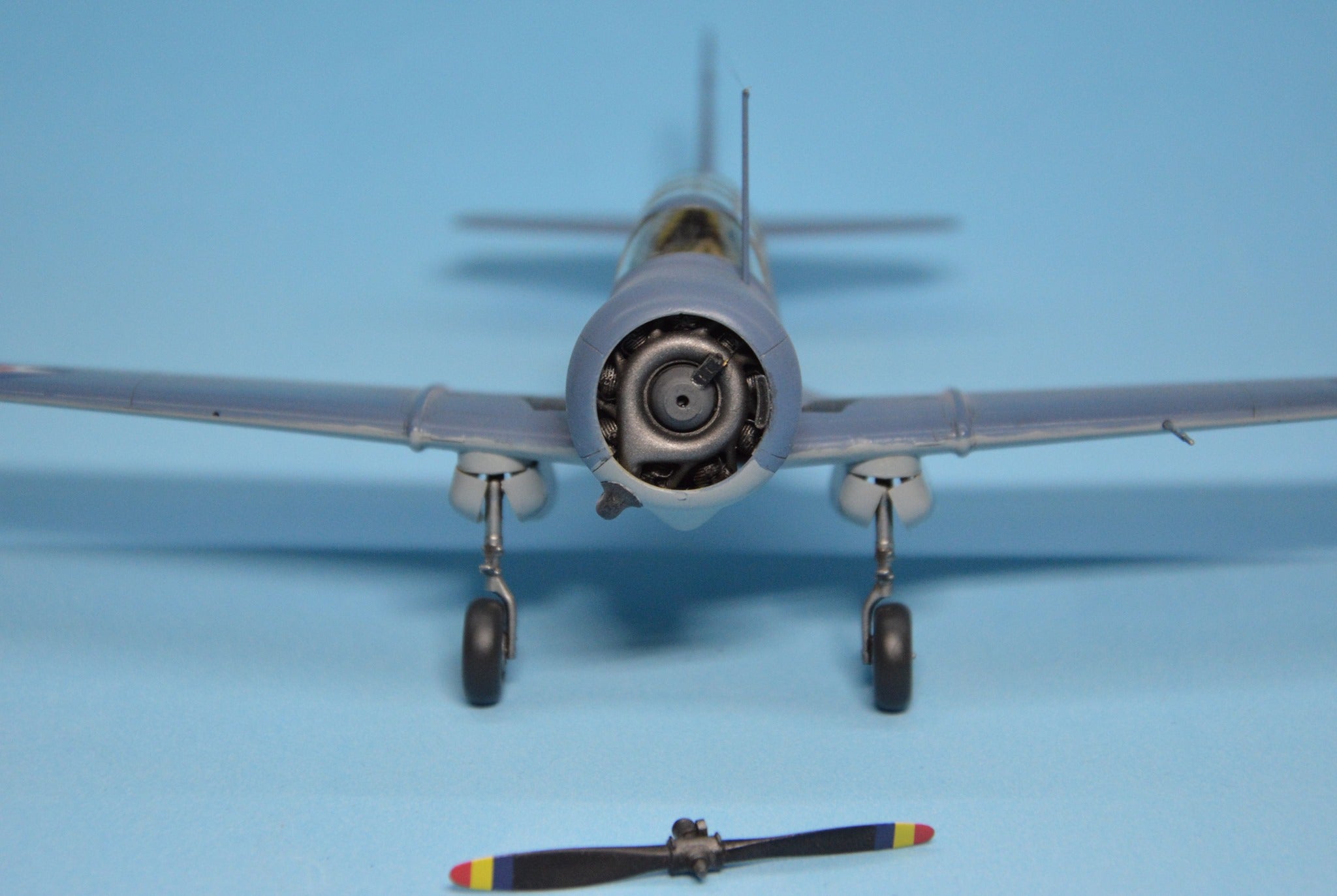 Dora Wings - 48041 - Curtiss-Wright SNC-1 Falcon - painted model