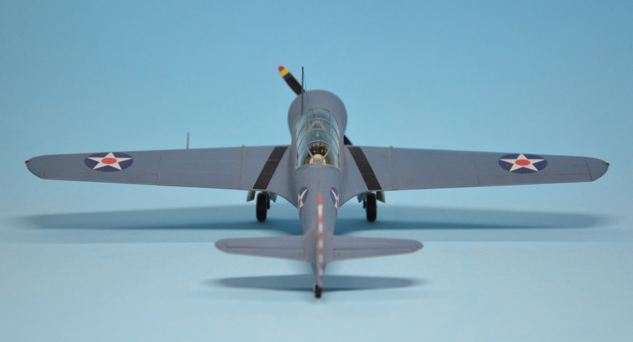 Dora Wings - 48041 - Curtiss-Wright SNC-1 Falcon - painted model