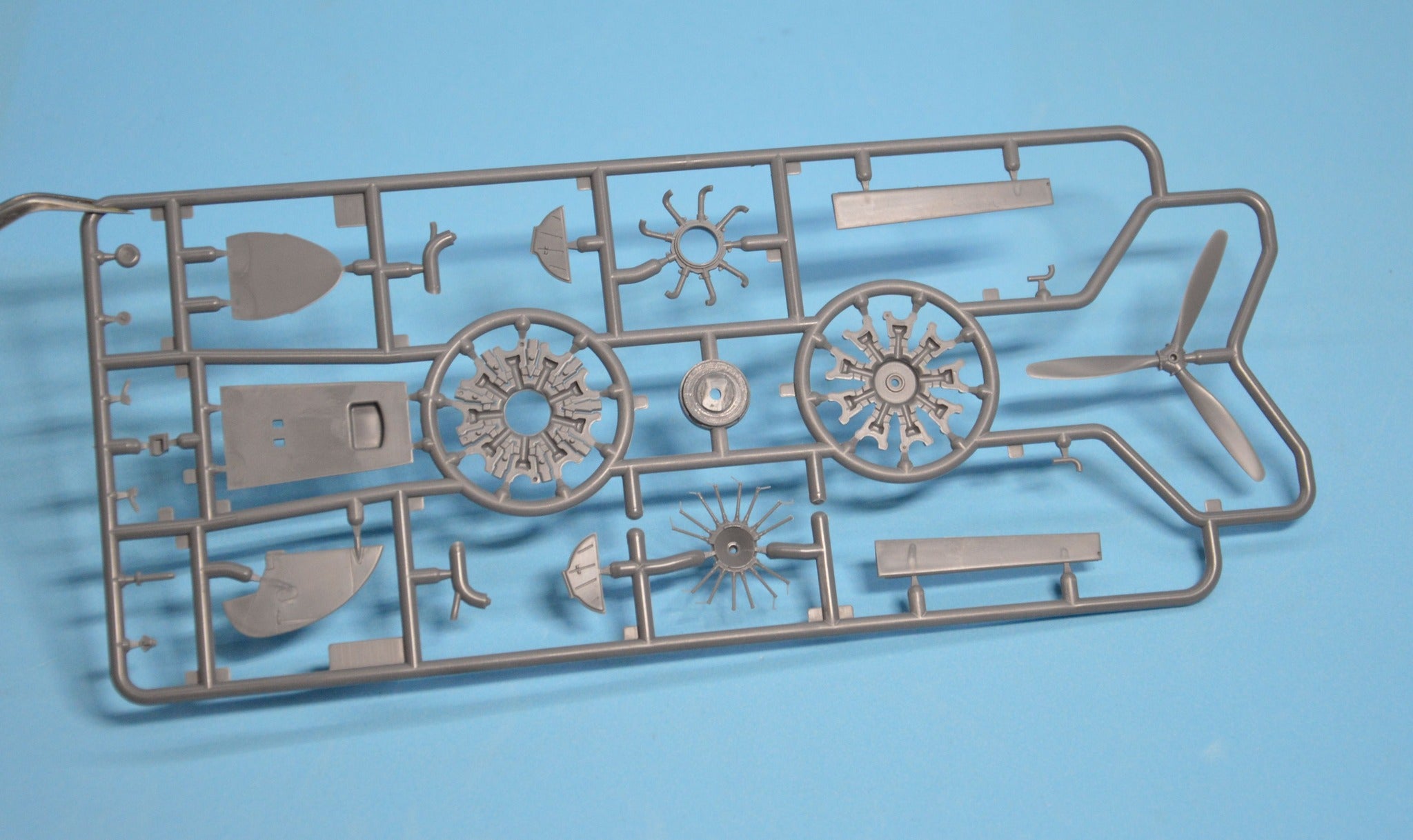 Dora Wings - 48046 - Curtiss-Wright CW-21B - sprue