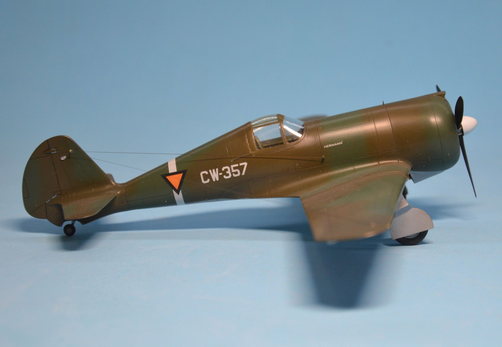 Dora Wings - 48046 - Curtiss-Wright CW-21B - painted model