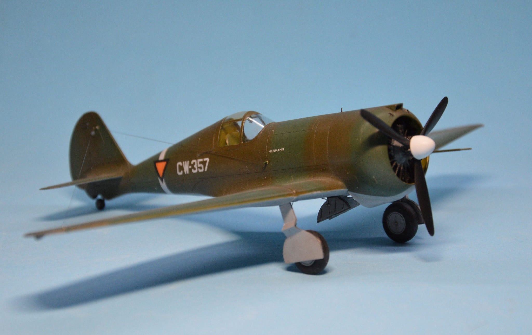 Dora Wings - 48046 - Curtiss-Wright CW-21B - painted model