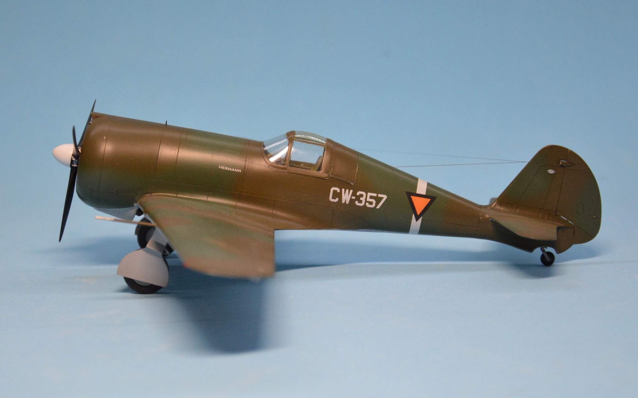 Dora Wings - 48046 - Curtiss-Wright CW-21B - painted model