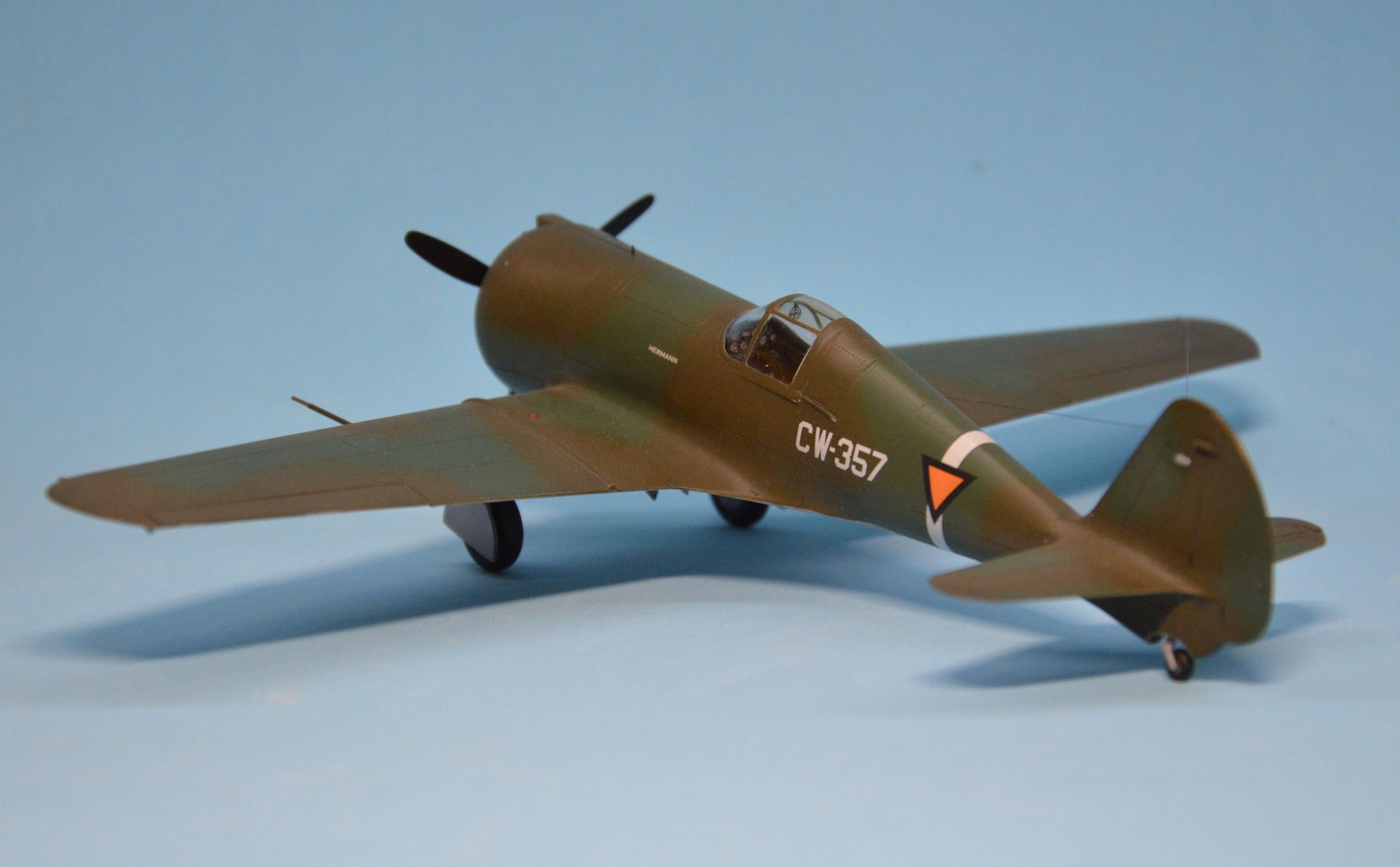 Dora Wings - 48046 - Curtiss-Wright CW-21B - painted model
