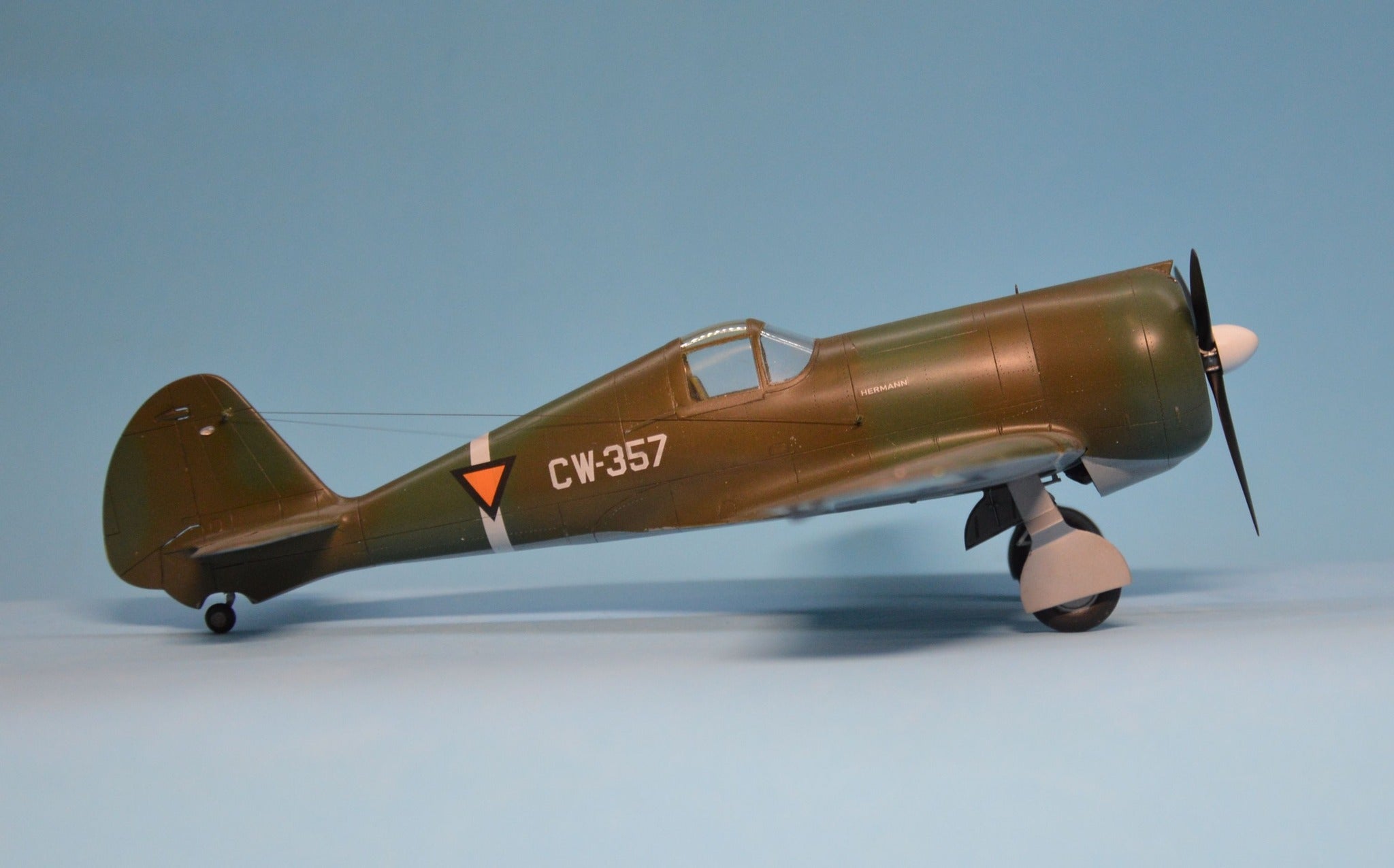 Dora Wings - 48046 - Curtiss-Wright CW-21B - painted model