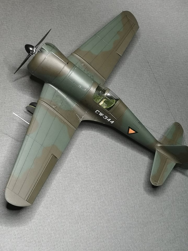 Dora Wings - 48046 - Curtiss-Wright CW-21B - painted model