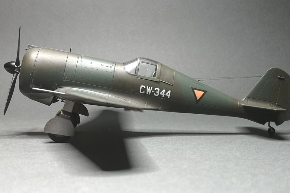 Dora Wings - 48046 - Curtiss-Wright CW-21B - painted model