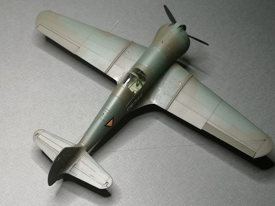 Dora Wings - 48046 - Curtiss-Wright CW-21B - painted model