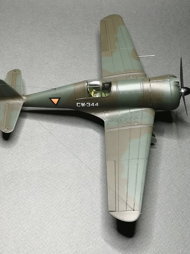 Dora Wings - 48046 - Curtiss-Wright CW-21B - painted model