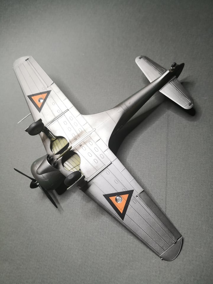 Dora Wings - 48046 - Curtiss-Wright CW-21B - painted model