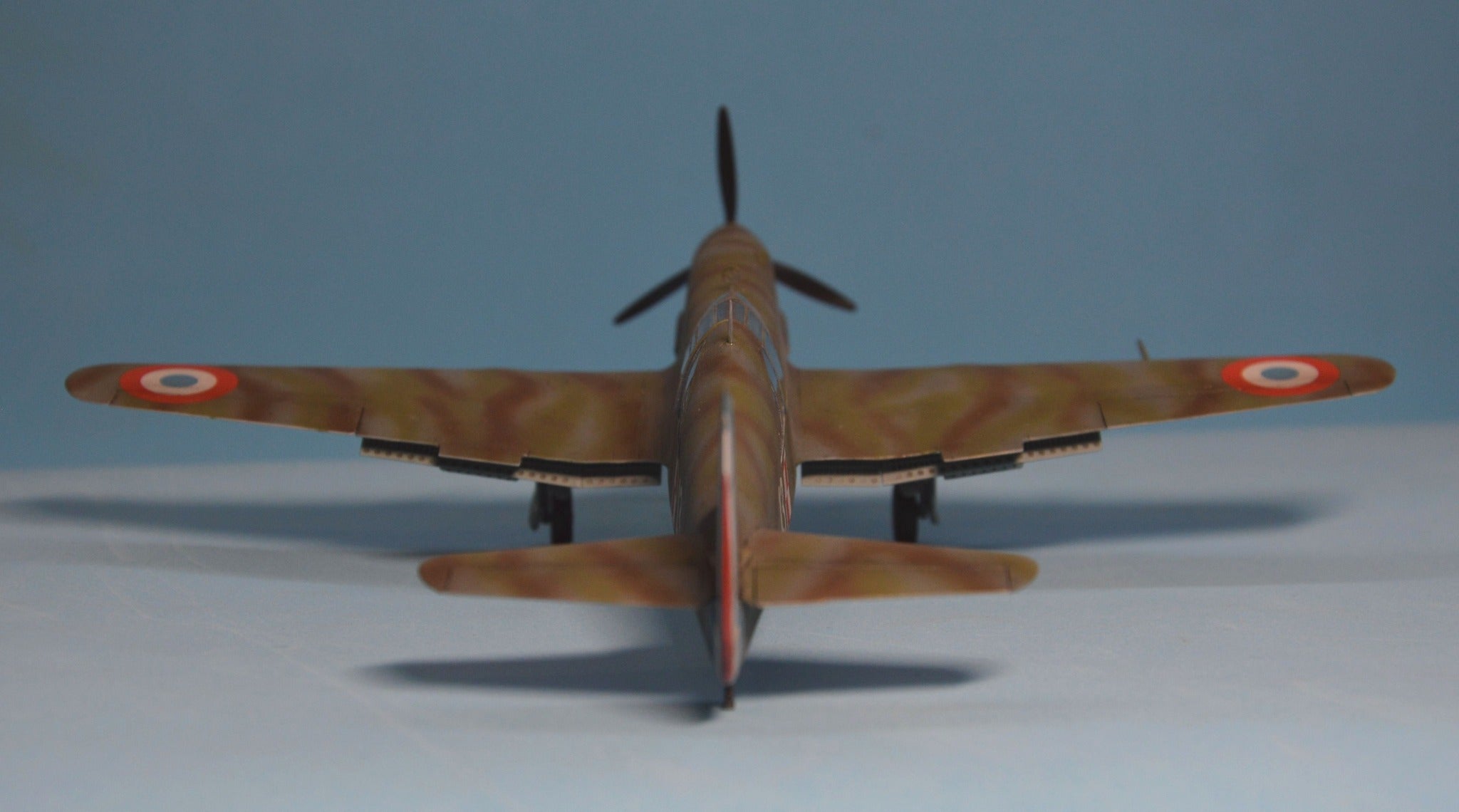 Dora Wings - 48047 - Caudron CR.714.C1 - painted model