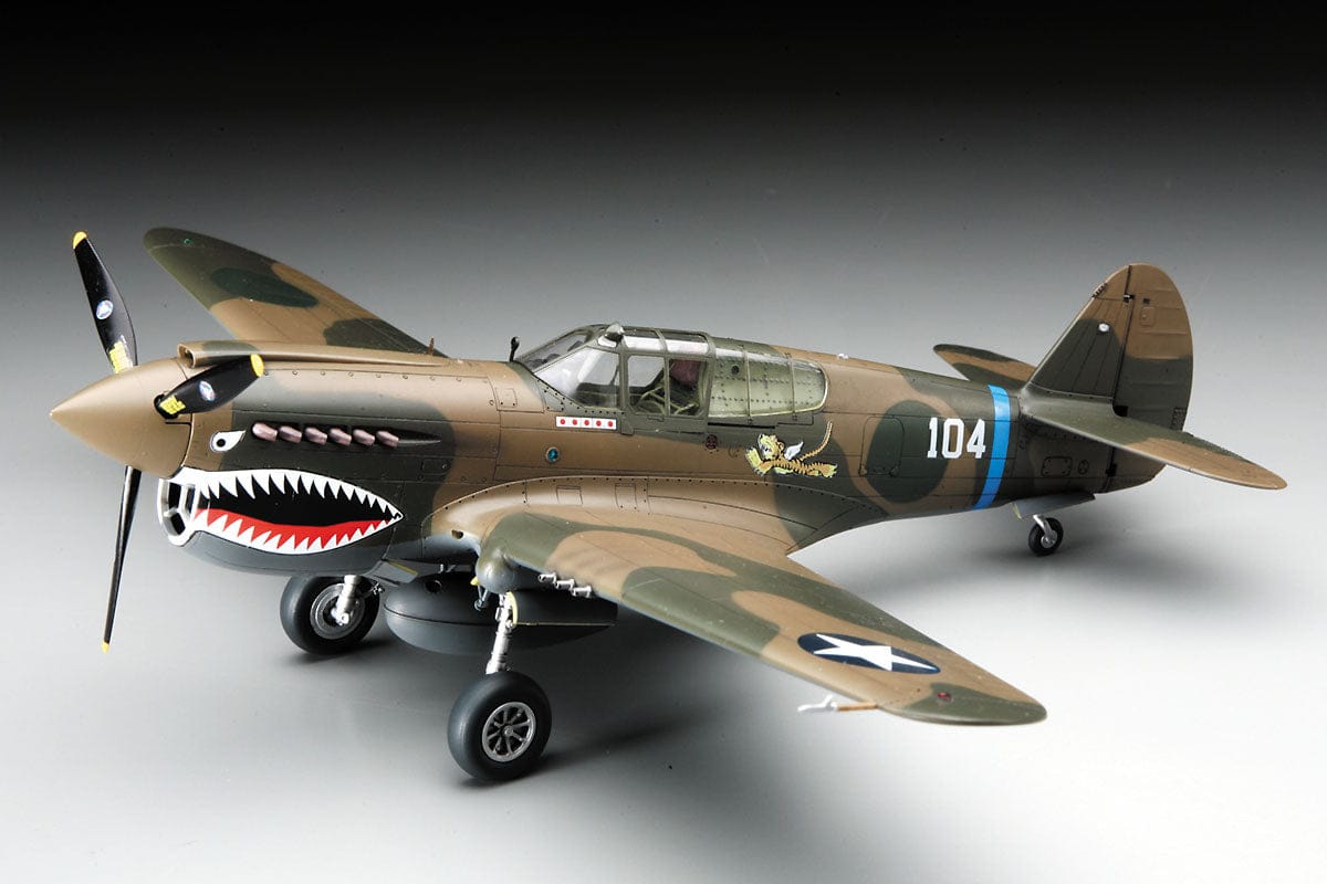 701 - Hasegawa - JT86 - Curtiss P-40E Warhawk - painted model