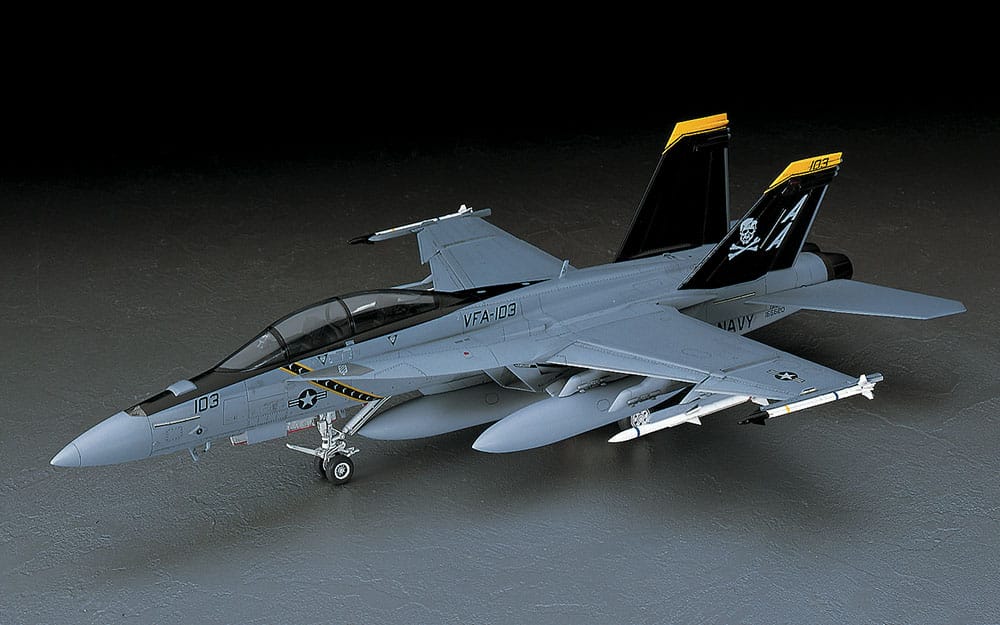 700 - Hasegawa - PT38 - Boeing F/A-18F Super Hornet - painted model