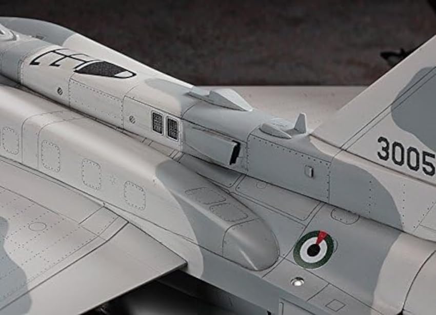 702 - Hasegawa - PT44 - Lockheed Martin F-16F Fighting Falcon - painted model