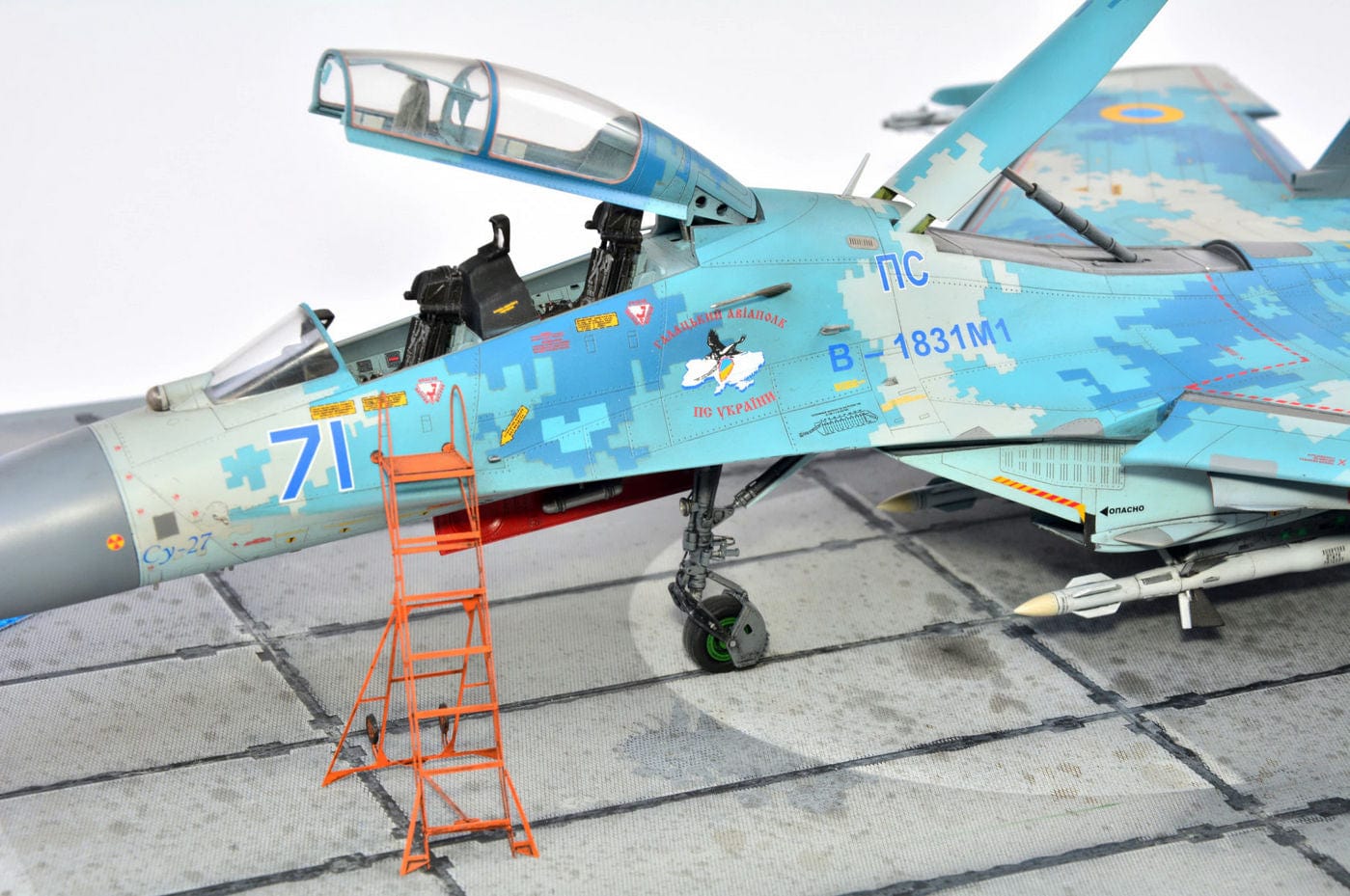 703 - HobbyBoss - 81713 - Sukhoi Su-27UB Flanker C - painted model