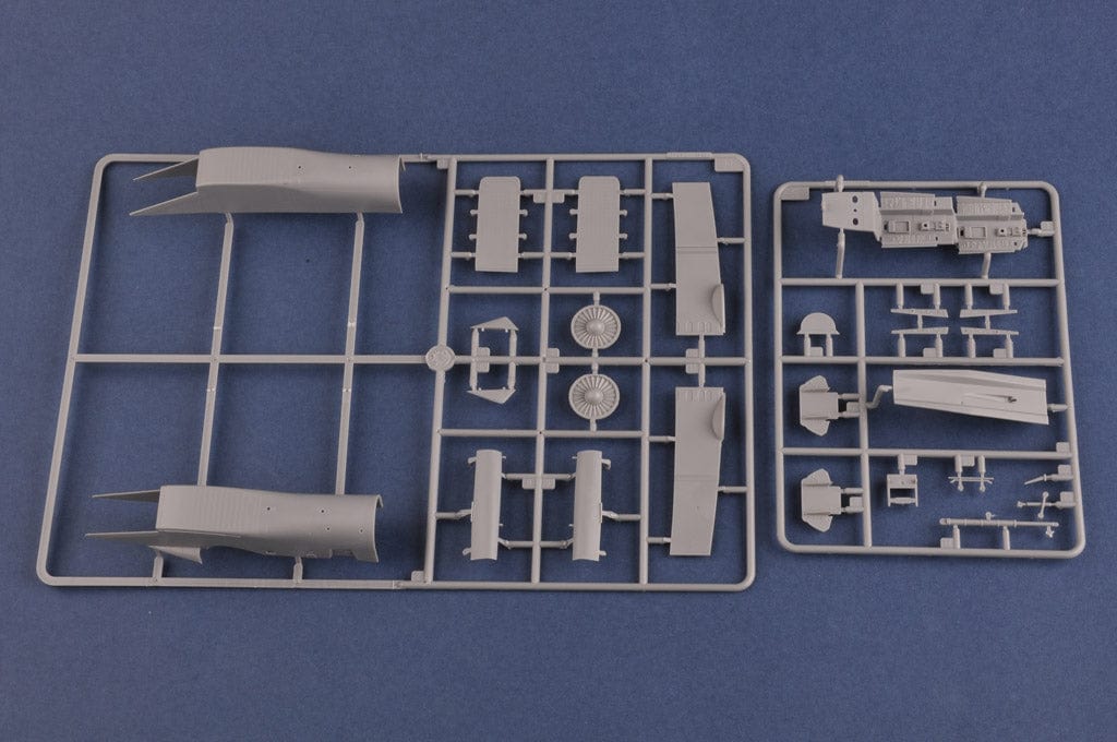 203 - HobbyBoss - 81713 - Sukhoi Su-27UB Flanker C - sprue