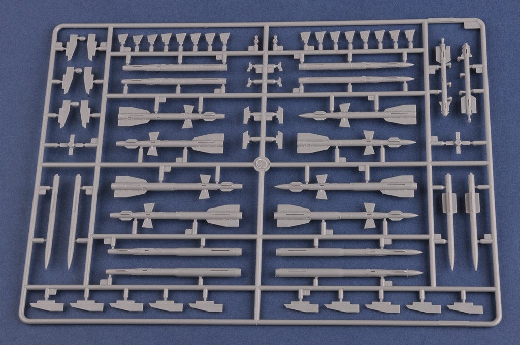205 - HobbyBoss - 81713 - Sukhoi Su-27UB Flanker C - sprue