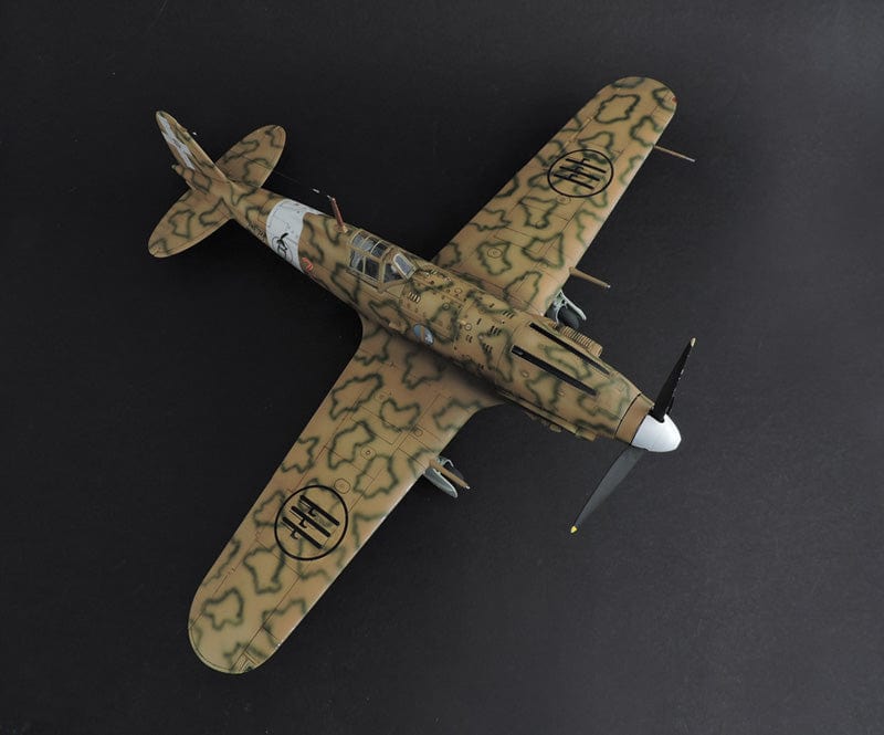 Italeri - 2519 - Macchi MC.205 Veltro - painted model