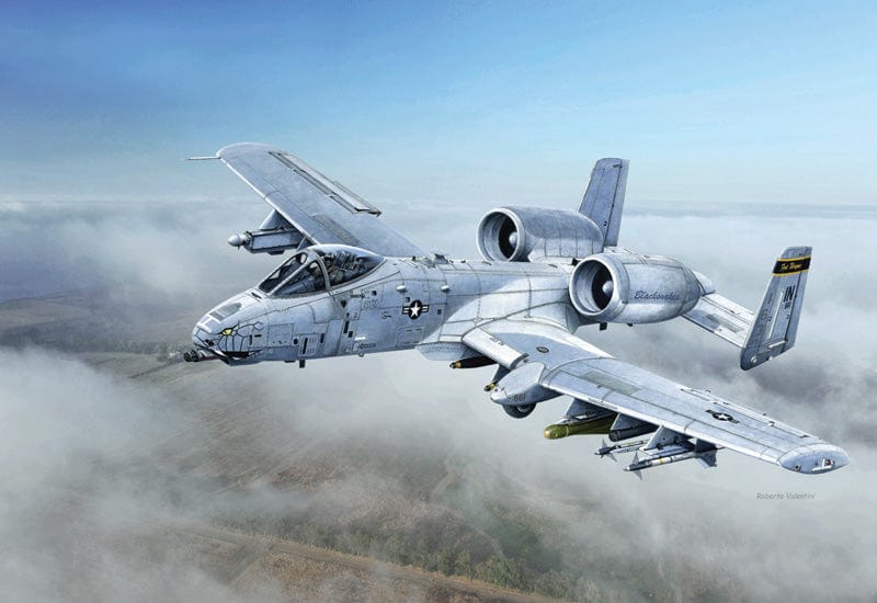 011 - Italeri - 2725 - Fairchild Republic A-10C Thunderbolt II ‘Blacksnakes’ - secondary image