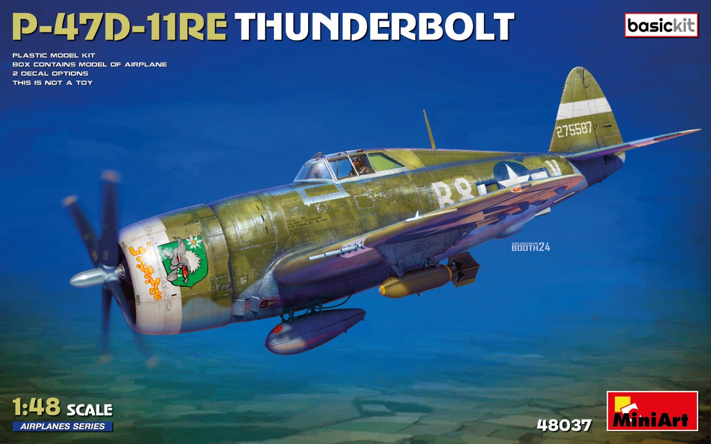 010 - Republic P-47D-11-RE Thunderbolt Razorback - primary image