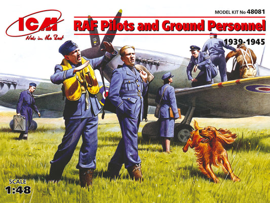 010 - British RAF Pilots and Ground Staff (1939-1945) - primary image