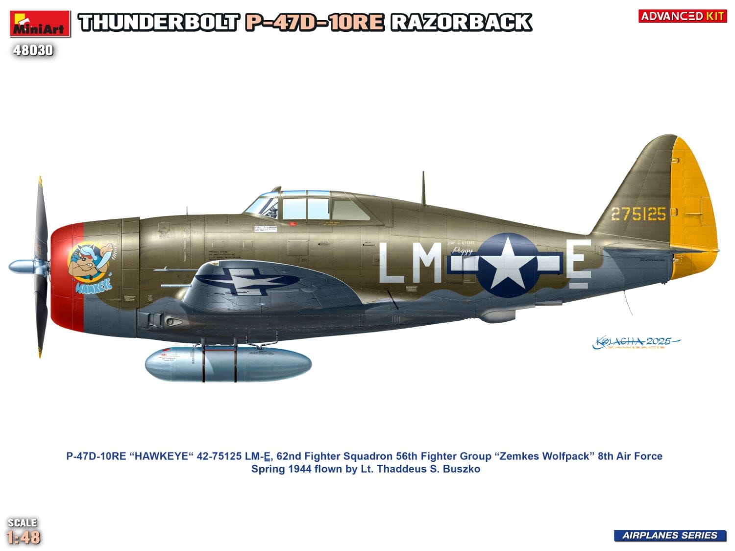 Miniart - 48030 - Republic P-47D-10-RE Thunderbolt Razorback - paint schemes