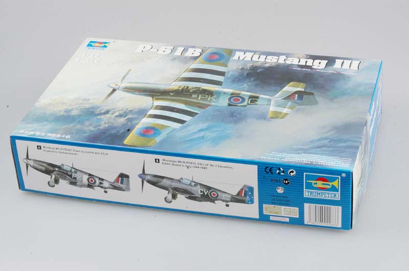 010 - North American Mustang Mk III - primary image