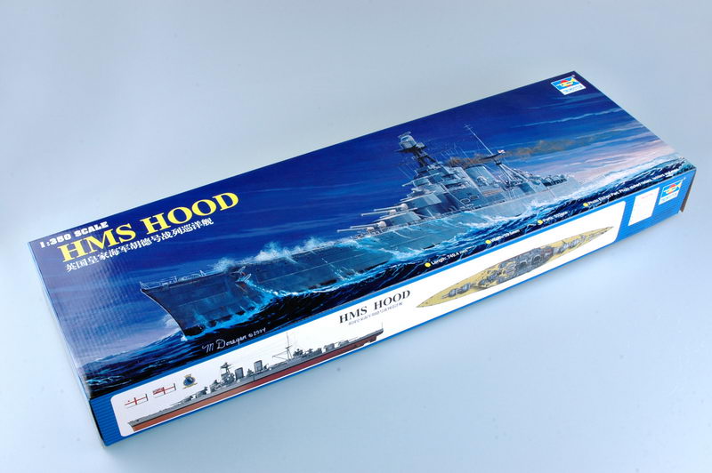 HMS Hood (51)