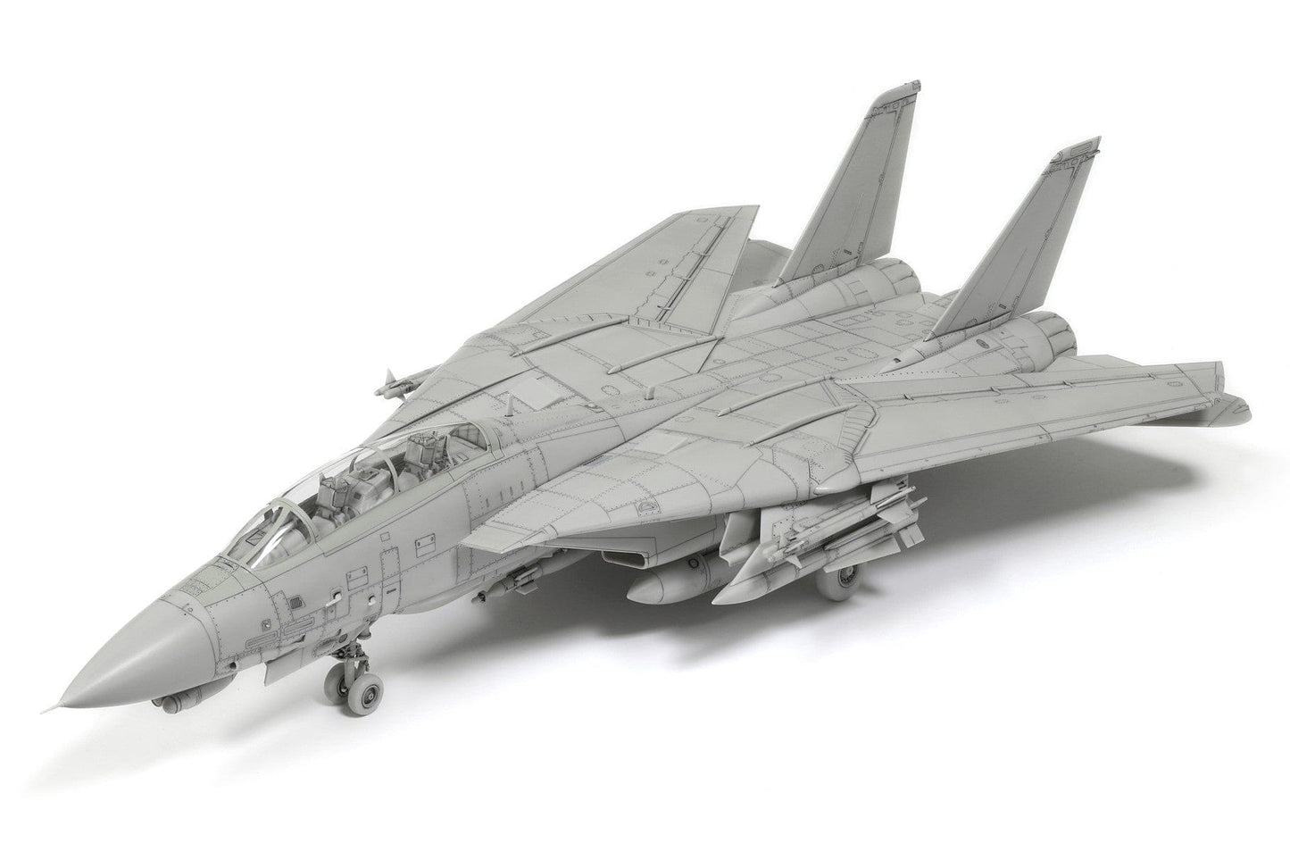 501 - Tamiya - 60795 - Grumman F-14D Tomcat - digital model