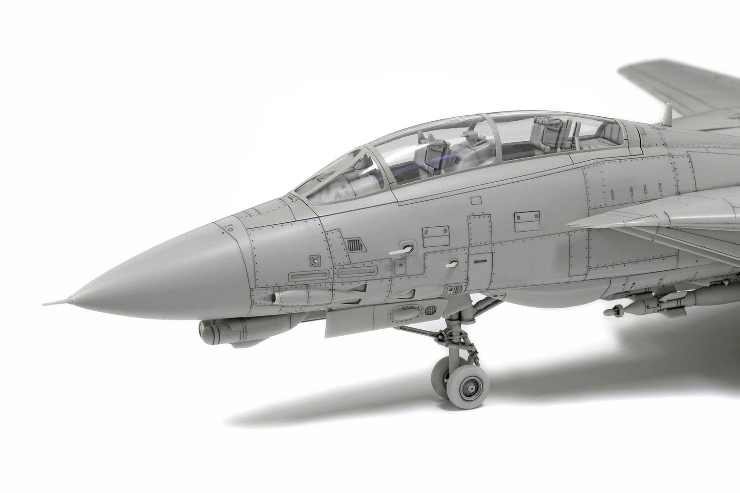 508 - Tamiya - 60795 - Grumman F-14D Tomcat - digital model