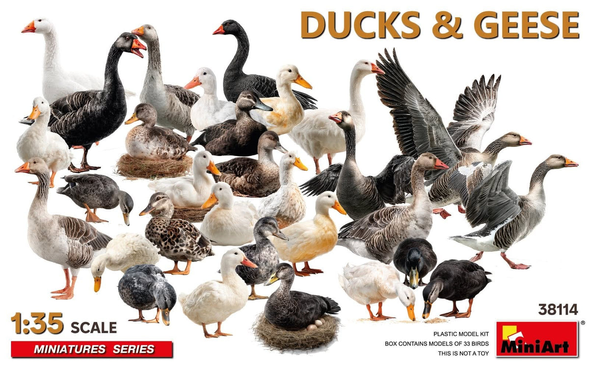010 - Miniart - 38114 - Ducks and Geese - primary image
