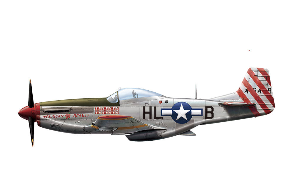 paint schemes - P-51D 44-15459 308th FS 31st FG USAAF, Pilot Capt. John Voll