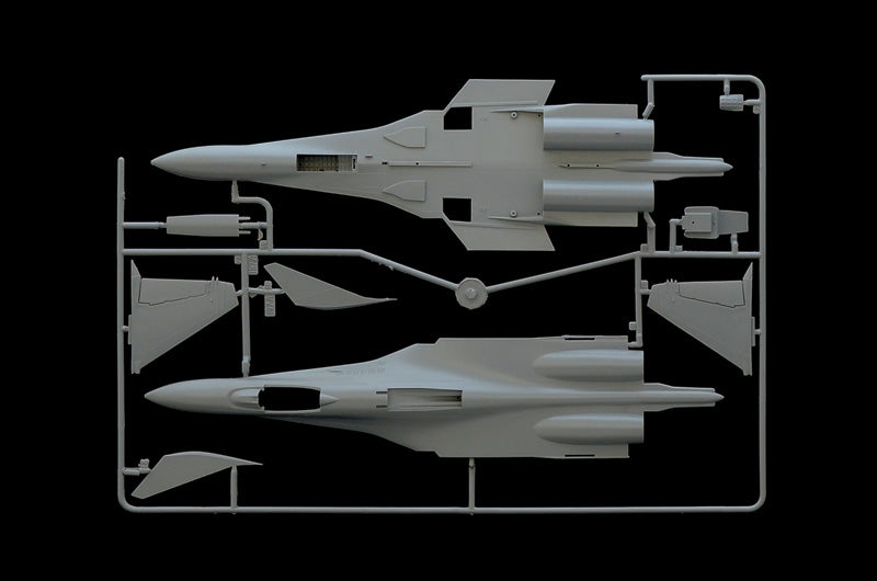 Sukhoi Su-33 Flanker D - sprue