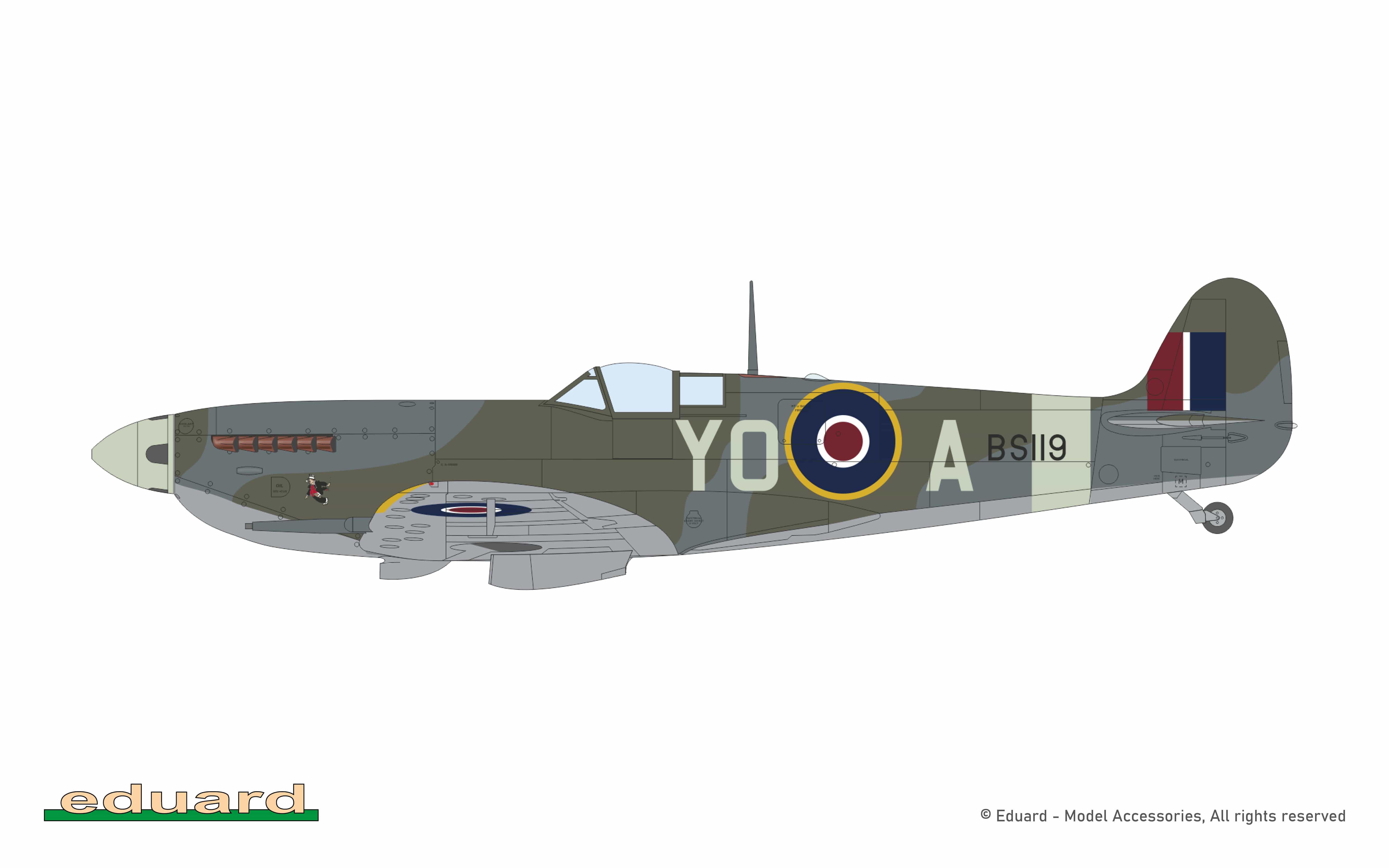 Eduard - 8282 - Supermarine Spitfire Mk IX - paint schemes - BS119, P/O D.R. Morrison, No. 401 squadron RCAF, RAF Biggin Hill, United Kingdom, August 1942