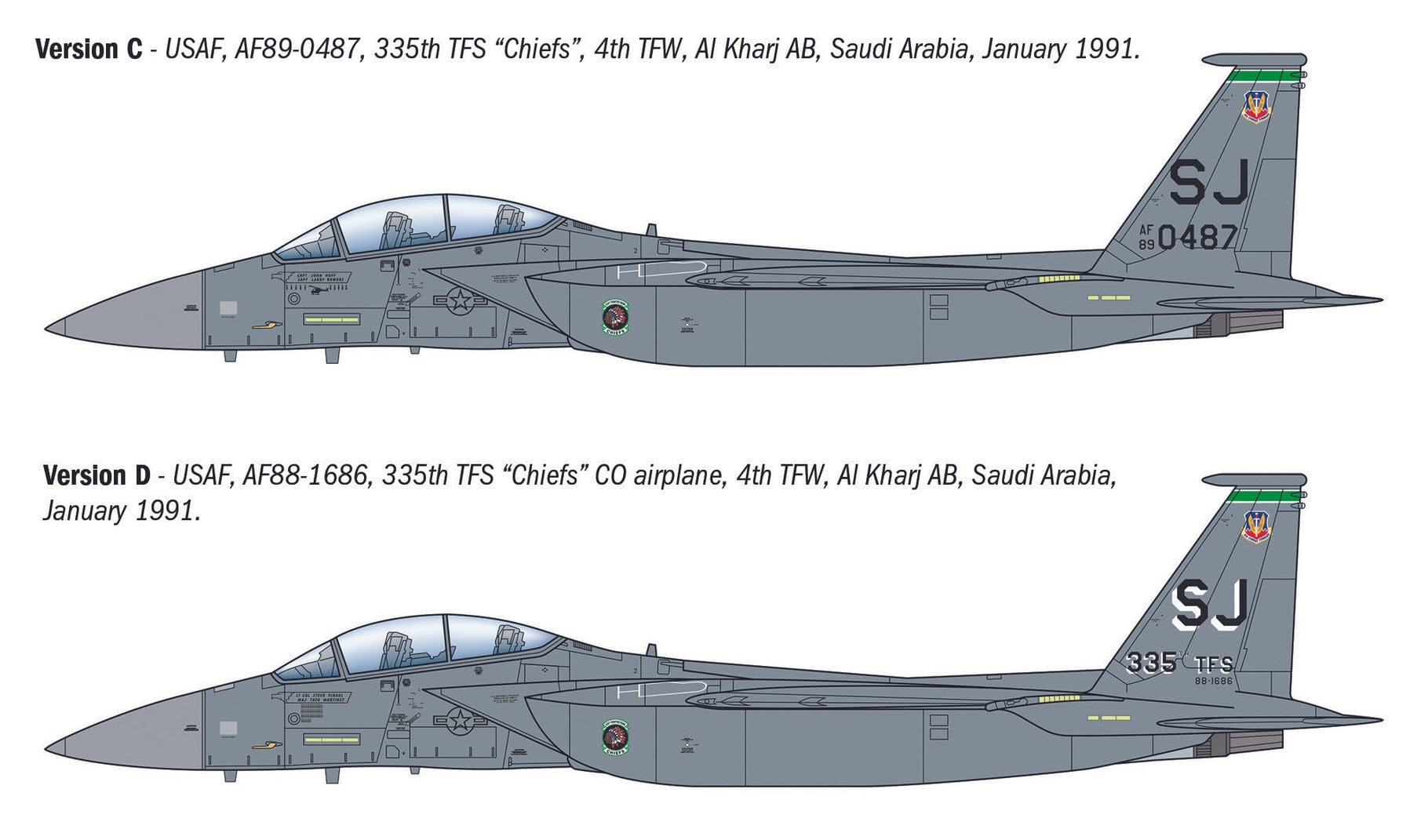 Italeri - 90166 - McDonnell Douglas F-15E Strike Eagle - paint schemes