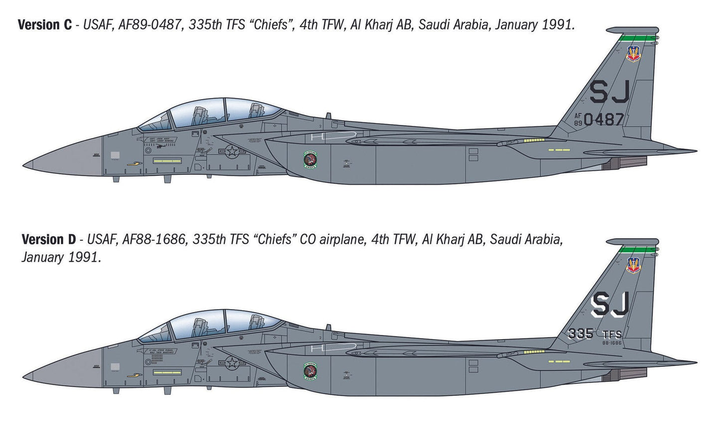 301 - Italeri - 90166 - McDonnell Douglas F-15E Strike Eagle - paint schemes