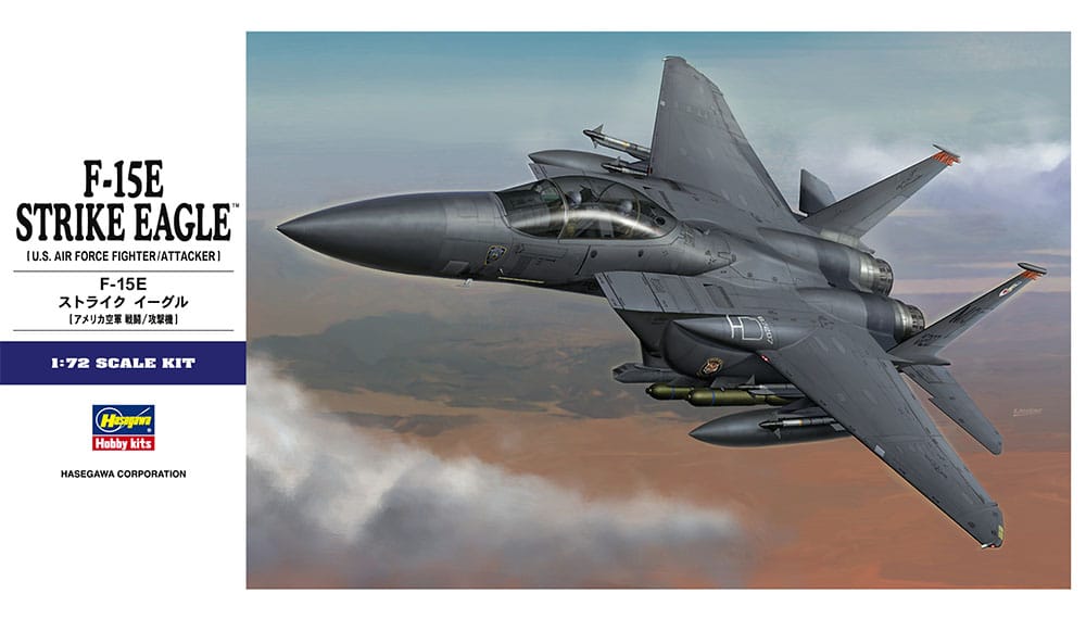 010 - Hasegawa - E39 - McDonnell Douglas F-15E Strike Eagle - primary image