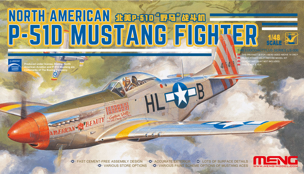 010 - primary image - North American P-51D Mustang