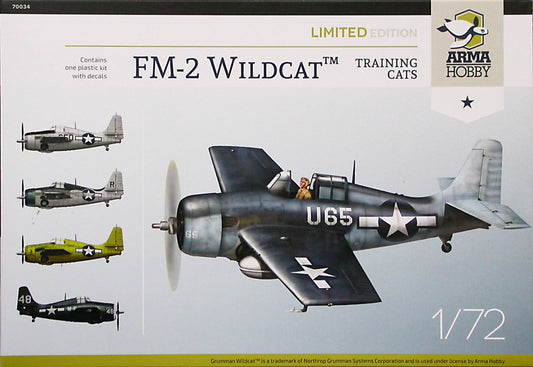 010 - Grumman FM-2 Wildcat ‘Training Cats’ - primary image
