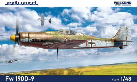 010 - Focke-Wulf Fw 190 D-9 - primary image
