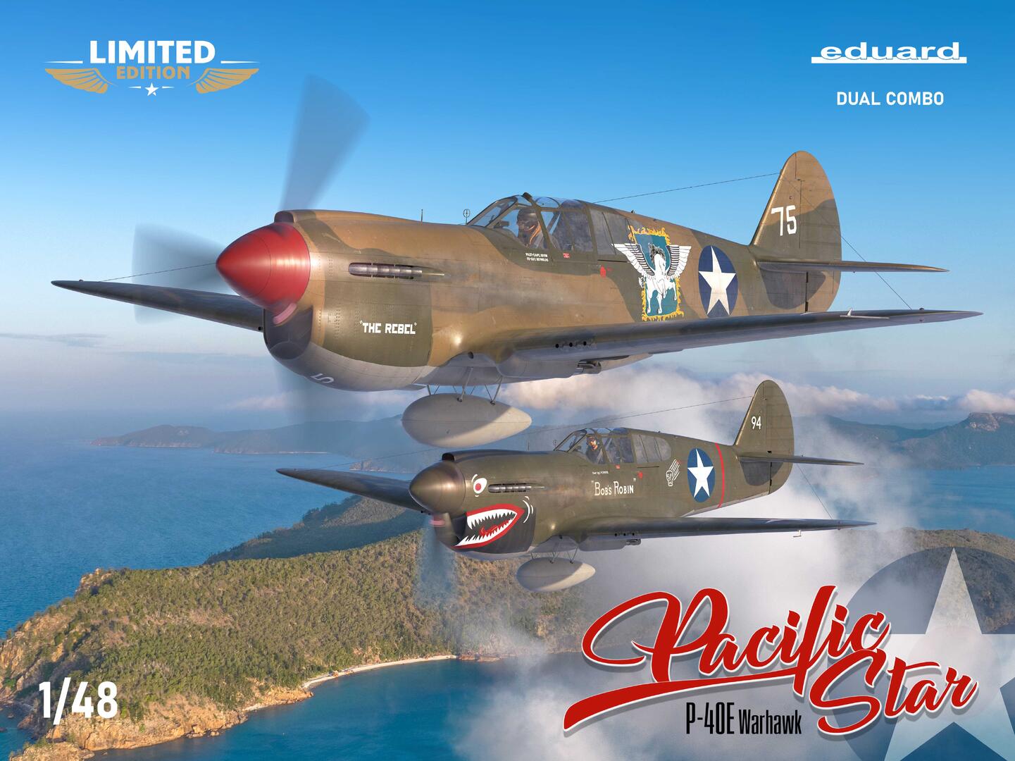 010 - Curtiss P-40E Warhawk ‘Pacific Stars’ - primary image