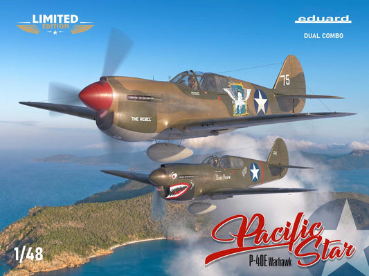 010 - Curtiss P-40E Warhawk ‘Pacific Stars’ - primary image